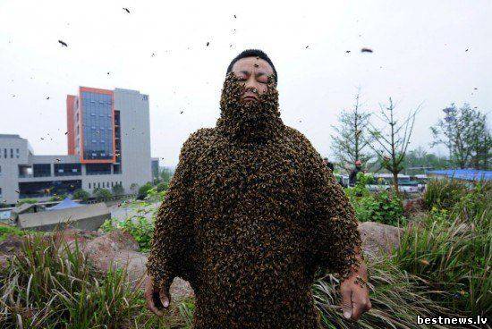 Посмотреть новость 30 килограм пчёл на теле пчеловода