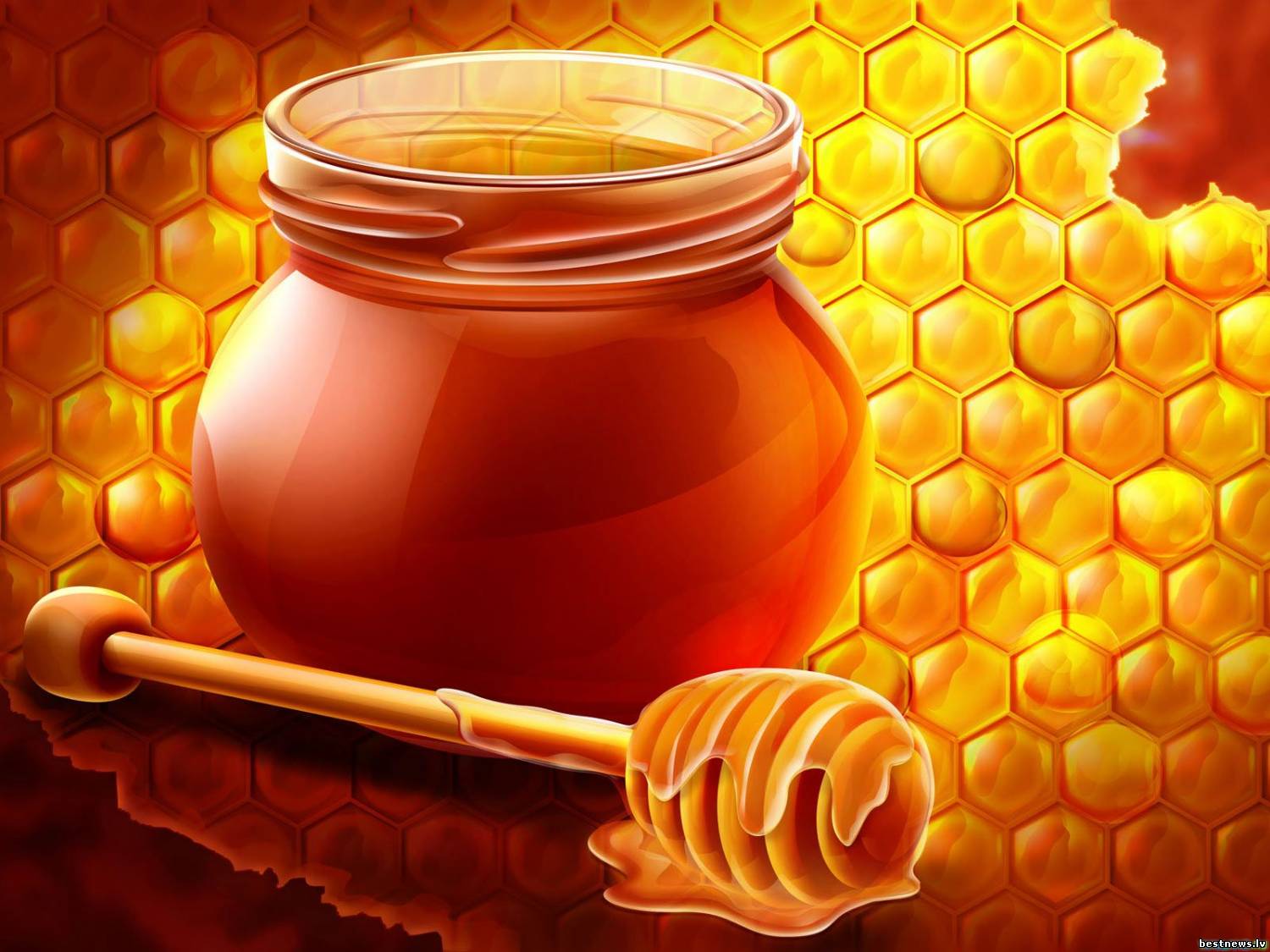 Посмотреть новость Как отличить настоящий мед от подделки.