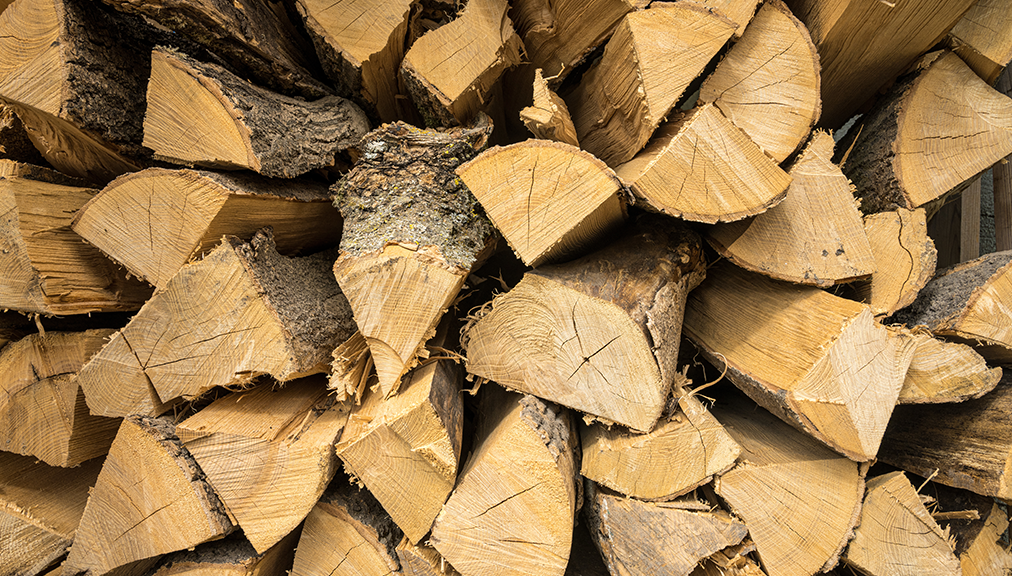 Все о дровяных котлах: как правильно топить дровами?