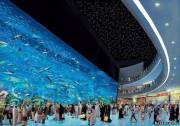 Огромный аквариум в Дубаи, размером 51m x 20m x 11m