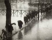 Сильное наводнение в Париже, 1924г. <br /> Фотограф - Henri Manuel