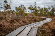 Национальный парк Kemeri в Латвии
