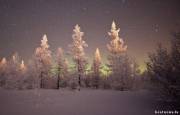 Полярная ночь, Ямало-Ненецкий автономный округ